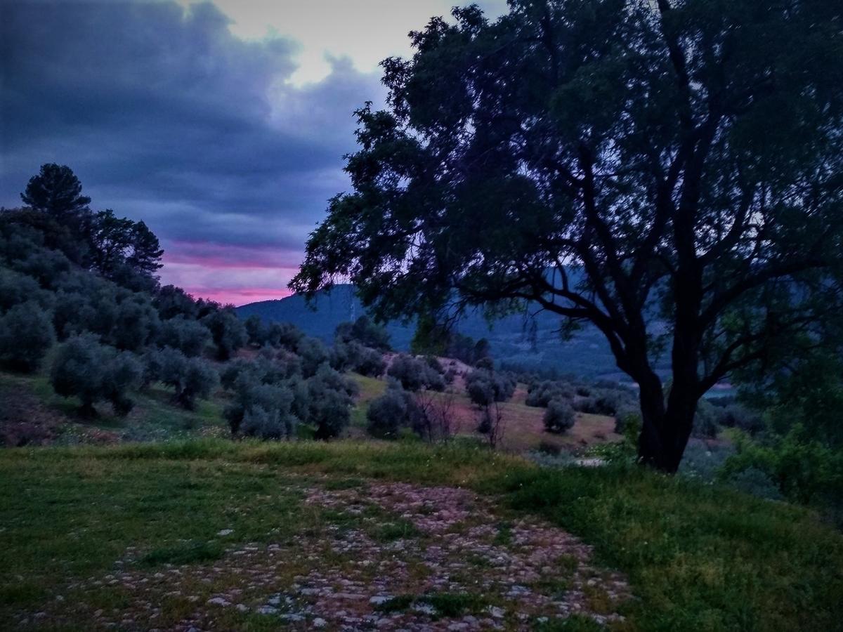 Mesoncillo Neo Villa Hornos Buitenkant foto